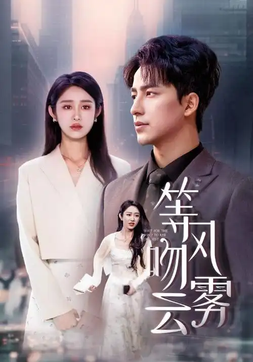 离婚后我成了顶流逆袭短剧海报
